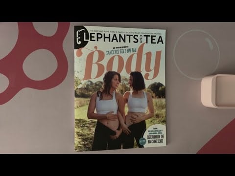 ASMR Tapping On Elephants And Tea - December 2022 Issue | No Talking