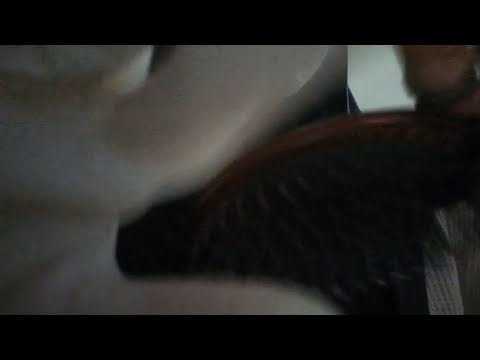ASMR | Checking your hair & Massage your head (Personal attention, Non sense)