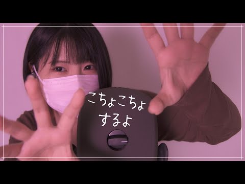 【KU100】あなたの耳元でこちょこちょこちょこちょこちょこちょこちょこちょー！【ASMR】