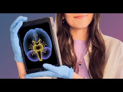 ROLEPLAY ESAME NERVI CRANICI👩🏽‍⚕️🧠😴| ASMR Soft Spoken