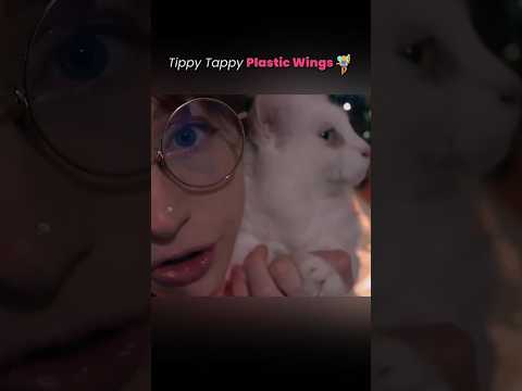 Tapping plastic wings + binaural whispering #asmr