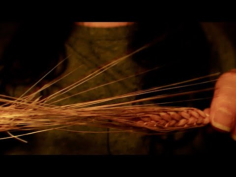 ASMR Autumnal Triggers