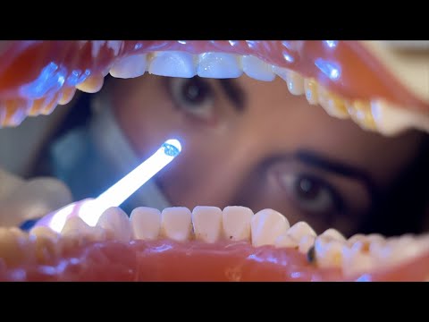 [ASMR] Dental Check Up & Teeth Cleaning 🦷