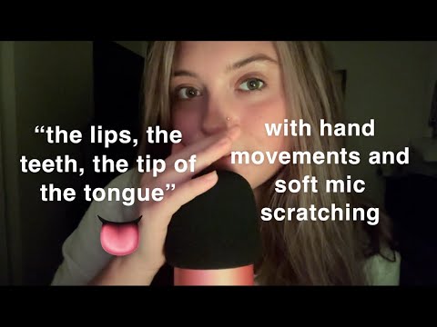 ASMR | repeating “the lips, the teeth, the tip of the tongue” over n over till u drift off 😴