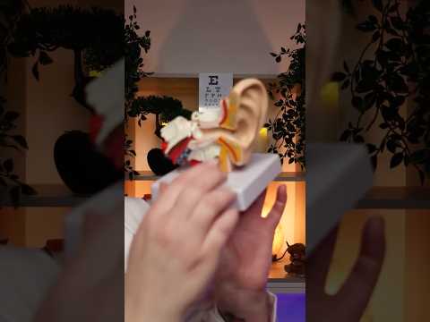 ASMR Doctor Check #asmr #bebravebeyouasmr #asmrcheckup
