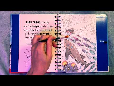 ASMR Magic Painting with Water (Whispered, Satisfying)