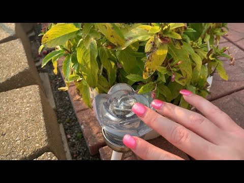 ASMR Tapping Around Outside