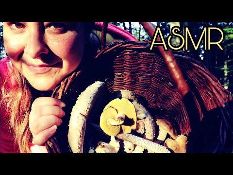 ASMR CZ/CZECH/ Pojďte se mnou na hřiby 🌲🍄😊