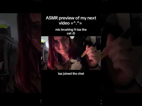 mic brushing with my cat !! #asmr #cat #shorts #micbrushing #asmrcat #asmrshorts #purring #catshorts
