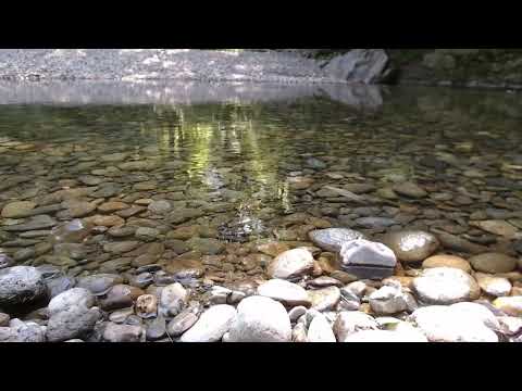 Grass Touching ASaMR: River Tour!! [ASMR][3DIO][visual ASMR][IRL][outdoors]