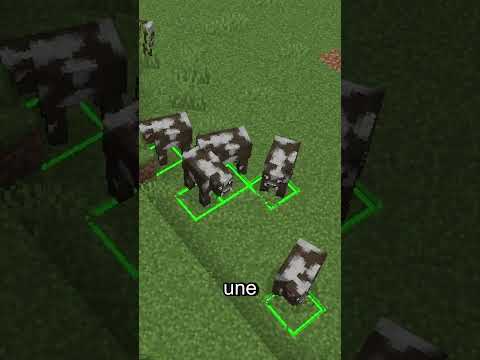 On peut VRAIMENT voir des joueurs invisibles sans cheat ! 😱 #minecraft  #minecraftshorts