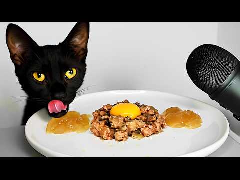 Cat Eating Jelly Food & Egg Yolk ASMR Mukbang