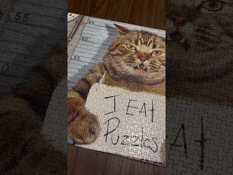 ASMR Scratching On A Cat Puzzle (No Talking) #ASMR #Shorts