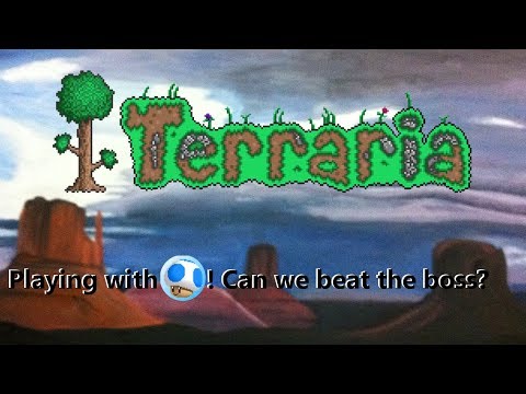 Terraria - Playing from the beginning to the end with Albinum! May not be family friendly