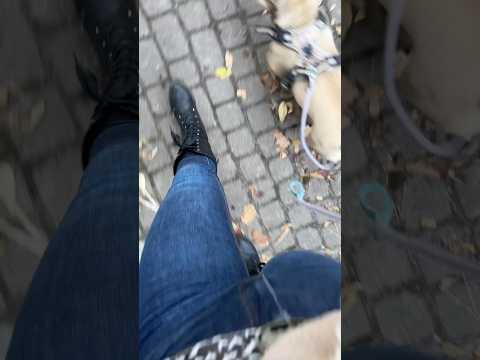 ASMR gehen mit Skinnyjeans und Boots. 😛