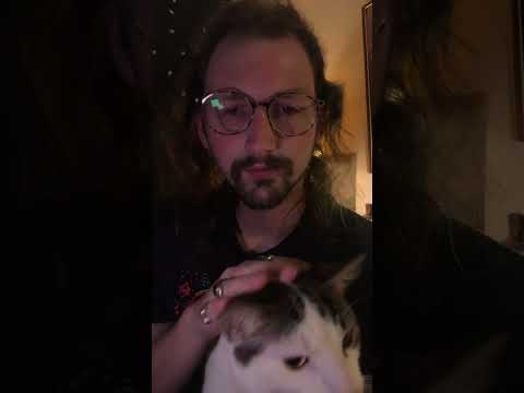 ASMR Cat Purrs & Scratches