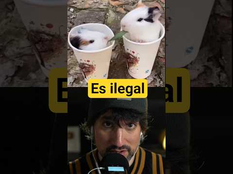 Puedes ir a la cárcel por esto 😳🤥