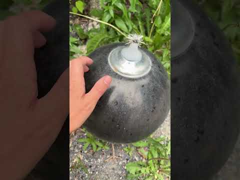 Amazing ASMR #happycanadaday
