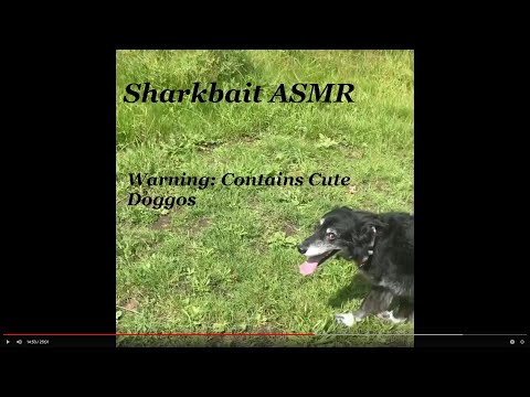 ASMR While Walking My Dog