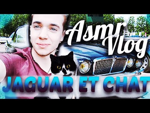 🌳 ASMR Vlog : Voiture Jaguar et tingles  (en Extérieure ) 🌳