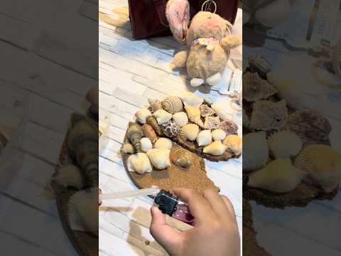 Kerang buat asmr ??? DIY buat asmr dari kerang 🐚 #asmrvideo #relax