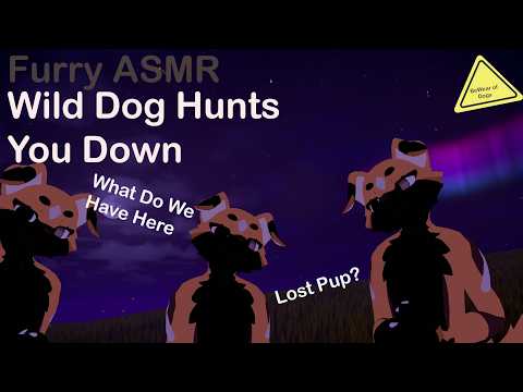 [Furry ASMR] Wild Dogs Hunt You. Layered Audio