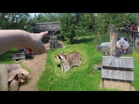 ASMR at the Zoo (whispered voiceover)