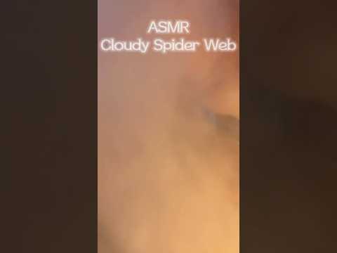 ASMR Toile Nuage 🕷️🕸️☁️ #asmr #spiderweb #visualasmr #mouthsounds
