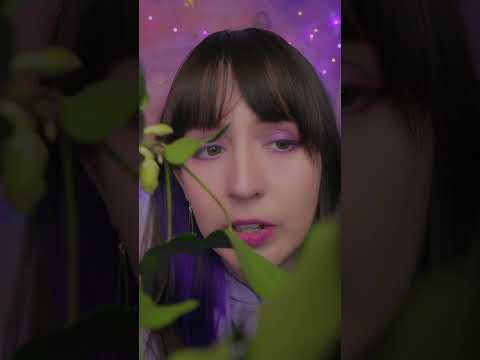 ⭐ASMR Eres mi Planta 🌱[Sub] Atención Personal, Cuidándote 💚