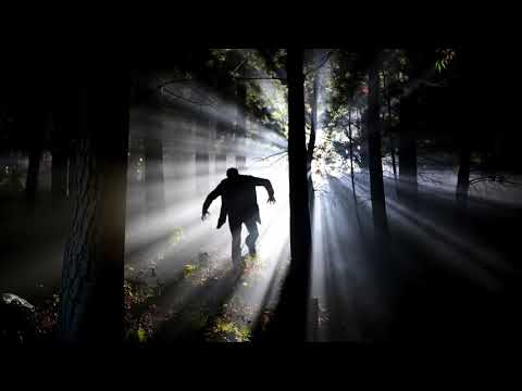 "I'm a Search and Rescue Officer for the US Forest Service ..." written by "searchandrescuewoods"
