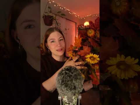 Happy Thanksgiving  #asmr #asmrsounds