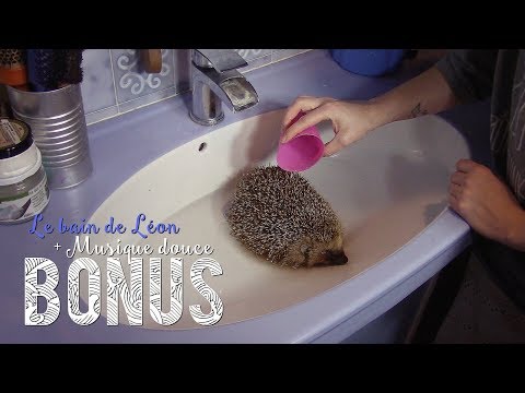 [BONUS] ~ Petit Bain pour Léon / Instant détente