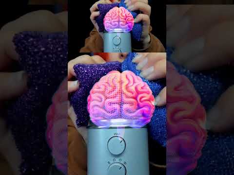 ASMR 🧠 BRAIN TINGLES... Literally! Sleep & Relaxation #asmr #shorts
