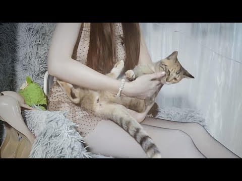 ASMR Roleplay | Cosplay Girlfriend ✨ Accent + Long Nails Scratching + Mouth Sounds (Deep Night)