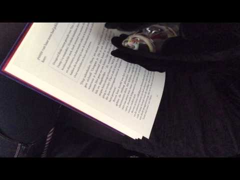 [ASMR] Ordinary Magic -- doodgewoon magisch --