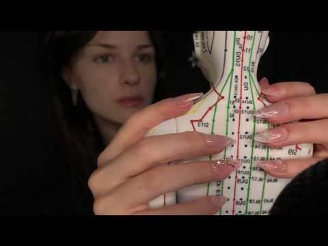 DEEP Acupuncture Doll Massage (No Talking) [ASMR] (Gripping, Grasping)