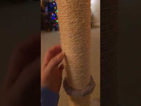 Cat Post Scratching #asmr