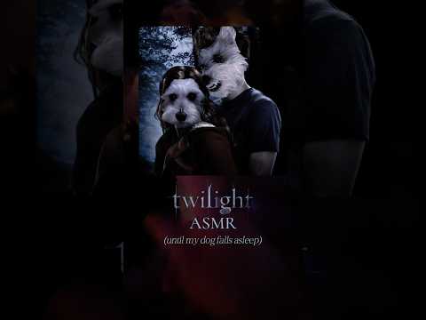 Twilight ASMR on my dog ✨