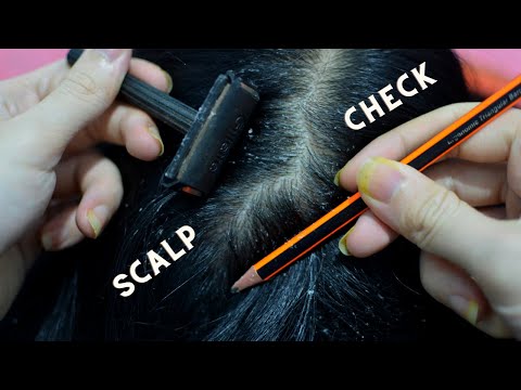 ASMR Scalp Check No Talking / Dandruff Scratching Relax For Sleep