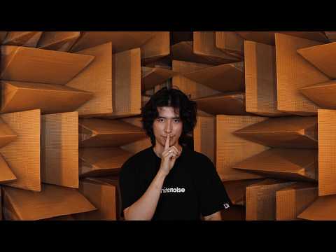 ASMR in the World's Quietest Room
