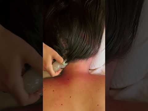 ASMR octopus head scratchers 🐙🐙🐙