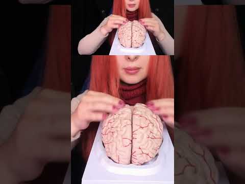 ASMR Most Tingly Brain Massage Ever (No Talking) #shorts