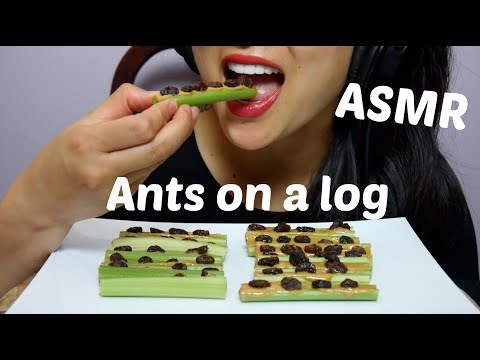 ASMR Satisfying Crunchy Celery Snacks (Ants on a log EATING SOUNDS) No Talking | SAS-ASMR