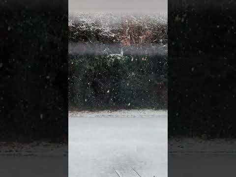 A flurry of snow #asmr #whispering
