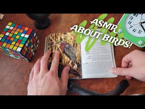 ASMR telling you about my favorite birds!🐦😴 | ASMR Whispered Ramble