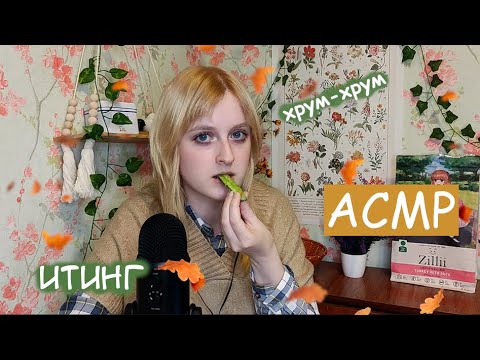 АСМР | Уютный итинг огурчиков под звуки дождя