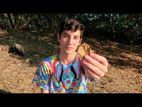 ASMR at the Park (Public)