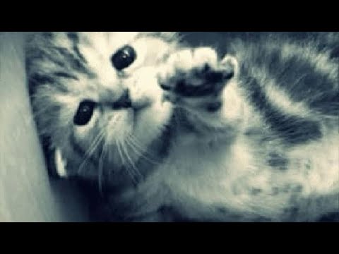 АСМР играем в игру/таппинг/ неразборчивый шепот/3 часть