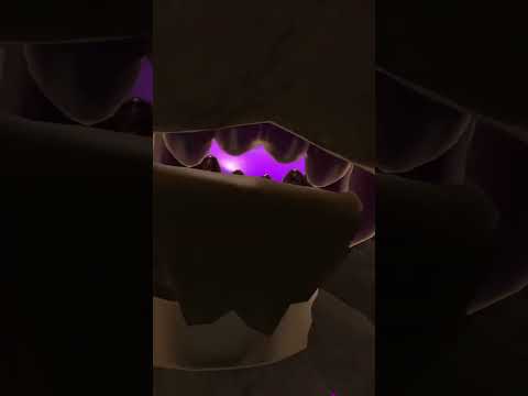 [FURRY ASMR]