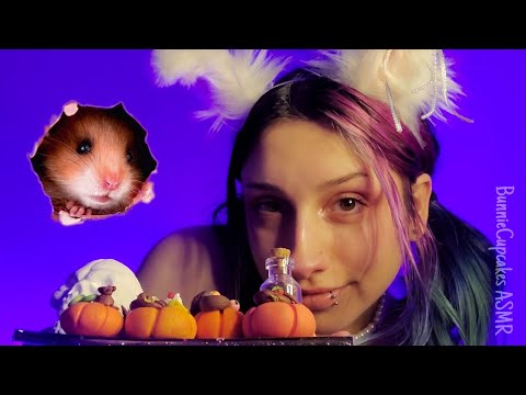 ASMR You're A Mouse Shopping For Tiny Pumpkins! | POV